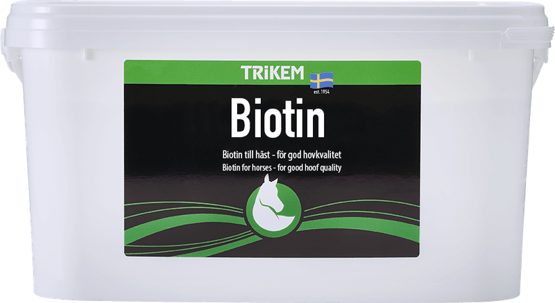Trikem Biotin 4000g