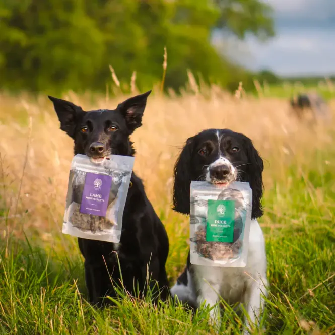 Hovedbilde Essential Duck Mini Delights 100g